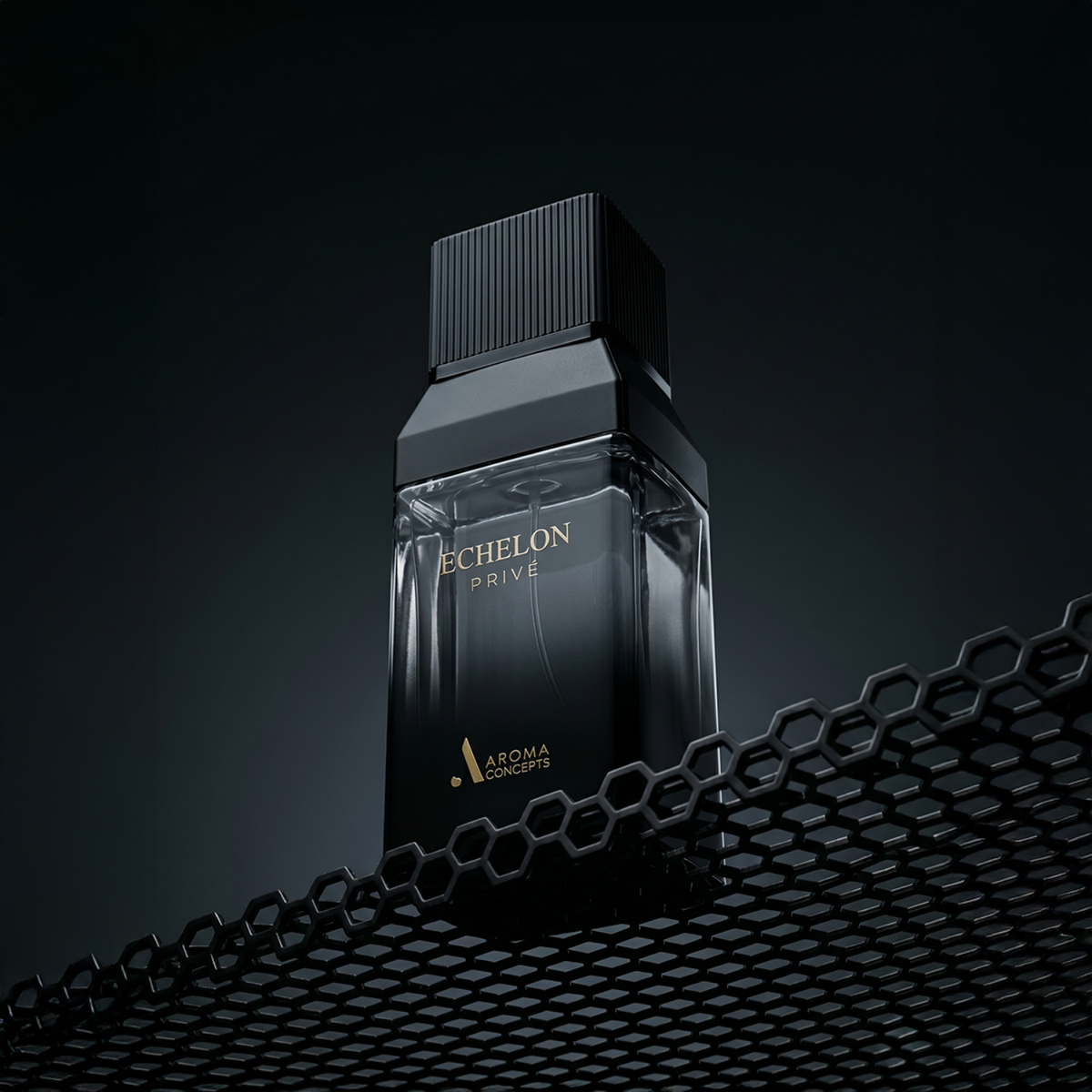 Aroma Concepts Echelon Prive eau de parfum 100 ml - image 2