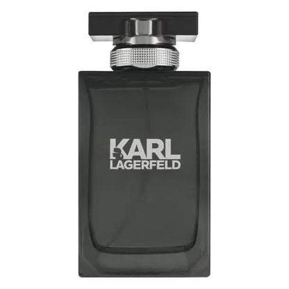 Karl Lagerfeld Pour Homme eau de toilette 100 ml - Desertnote