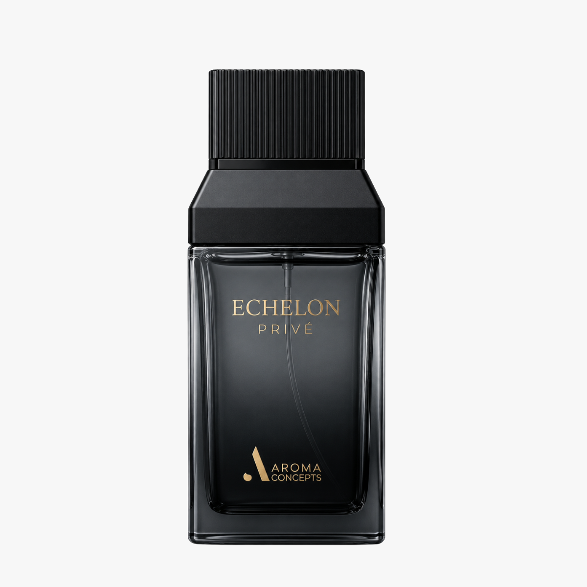 Aroma Concepts Echelon Prive eau de parfum 100 ml